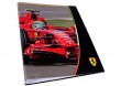 Segregator B4 Ferrari F1 Team