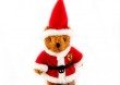 Mi Ferrari Teddy w. Mikoaj